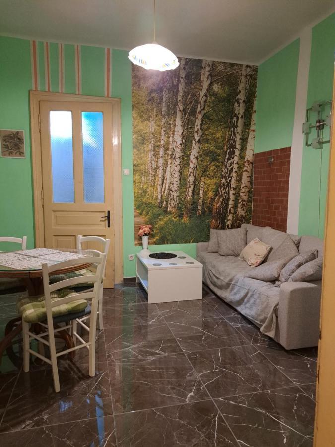 Apartman Forza Fiume Rijeka Extérieur photo